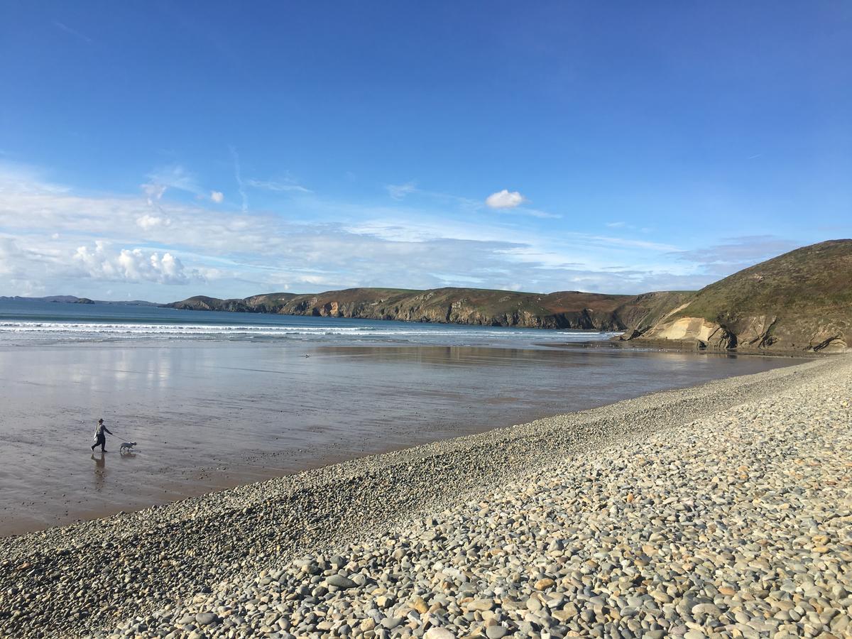 The Duke Of Edinburgh Inn Newgale エクステリア 写真