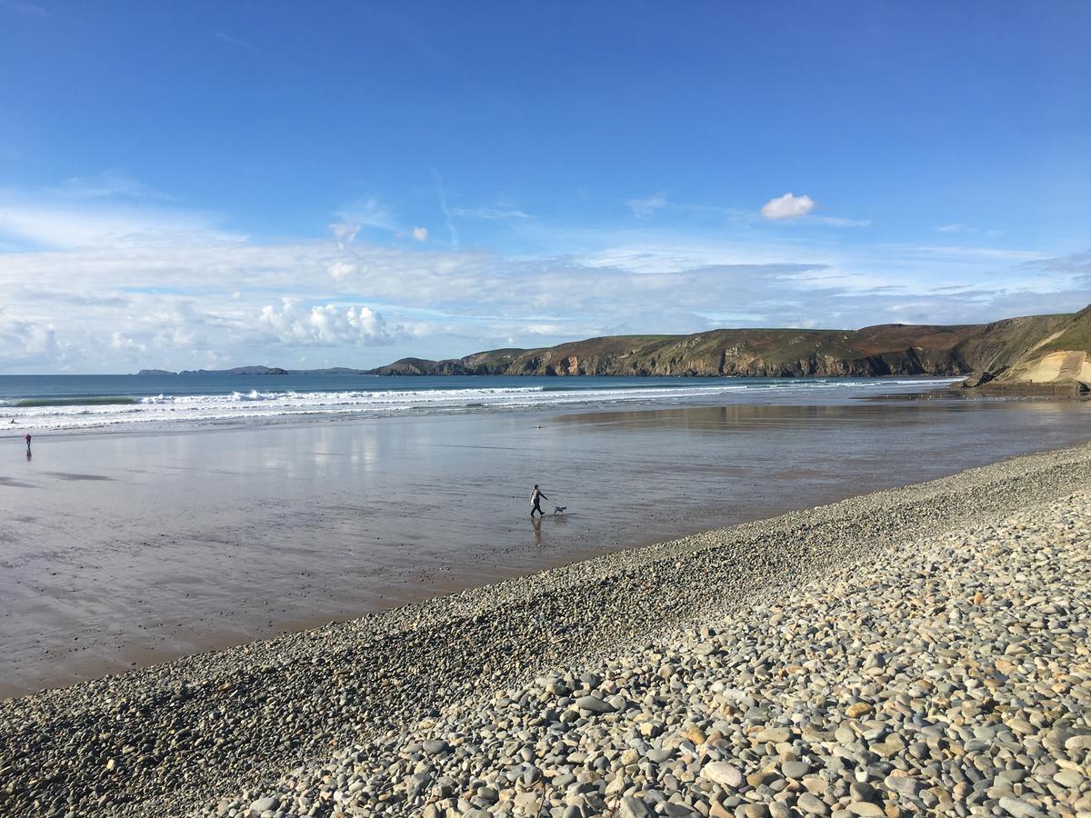 The Duke Of Edinburgh Inn Newgale エクステリア 写真